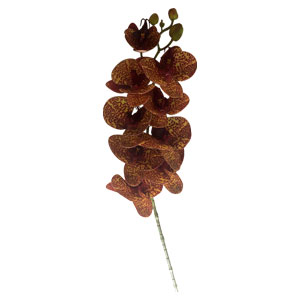 Vara de orquideas naranjas