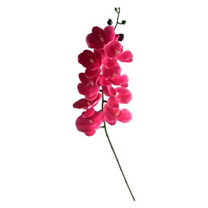 Vara de orquideas rosas