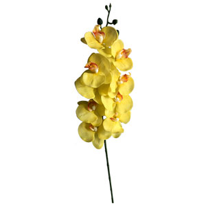 Vara de orquideas amarillas