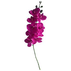 Vara de orquideas rosas