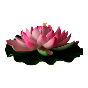 Flor de loto grande