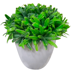 Planta artificial - Galerías el Triunfo - 261171736193