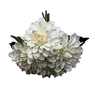 Ramo de dalias blancas