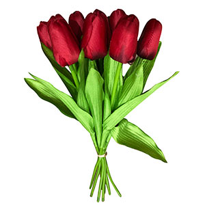 Ramo de tulipanes rojos