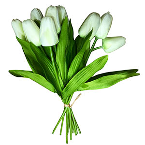 Ramo de tulipanes blancas