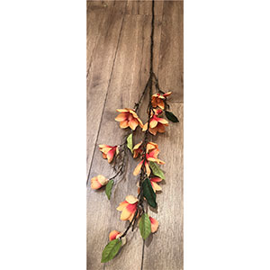 Vara con flores naranjas - Galerías el Triunfo - 281001736837