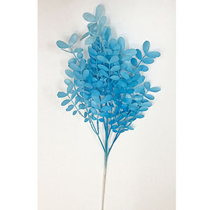 Vara de hojas azules