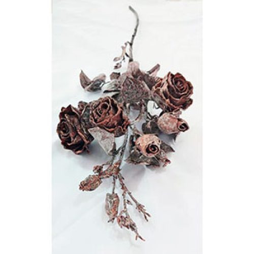 Vara de rosas café