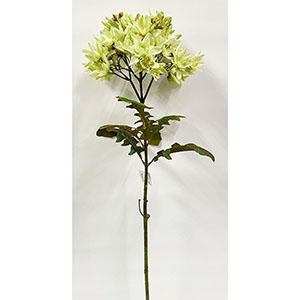 Vara de flor verde