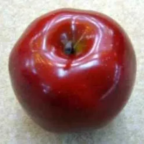 Manzana roja mediana