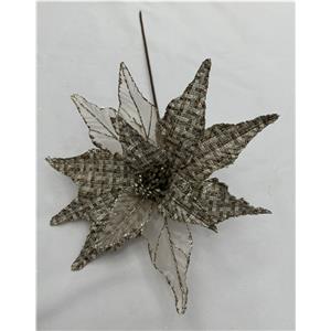 301001736046-galerías el triunfo