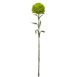 Vara de flor de claves de plastico verde claro de 53x9x9cm
