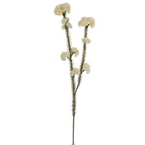 Vara de plastico crema de flor de arroz de 57×16.5×6.4cm