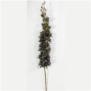 Vara de flores grises