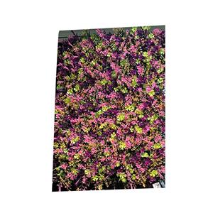 Tapete artificial con flor de jacaranda rosa de 40x60cm