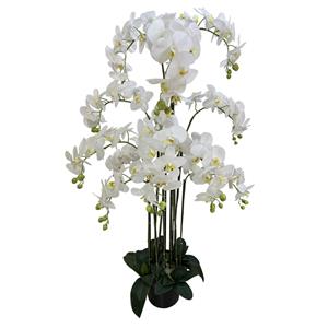 Árbol de flores de orquideas blancas de 150cm