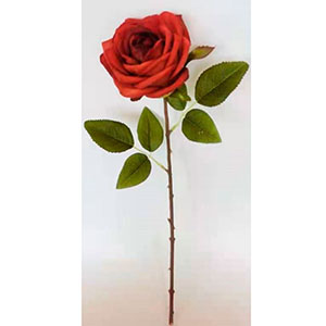Vara de Rosa roja