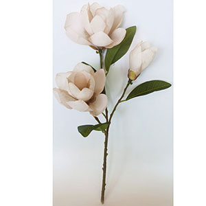 Varas con 3 Magnolias
