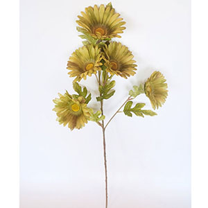 Vara con 5 Gerberas