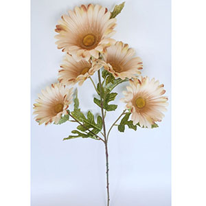 Vara con 5 Gerberas