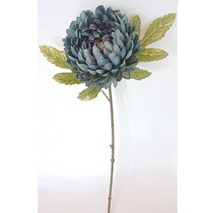 Vara de flor Caléndula