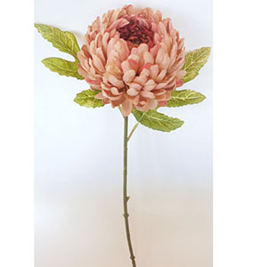 Vara de flor Caléndula