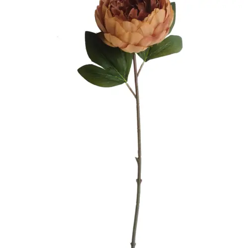 Vara de hoja de helecho cafe de 51cm