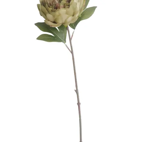 Vara de hoja de helecho verde de 51