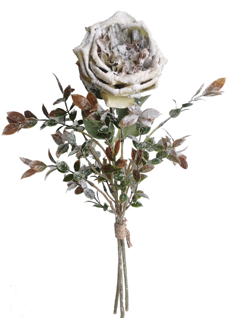 022032746311-galerias el triunfo