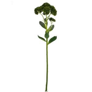 Vara de flor de plastico sedum verde de 56.5×15.2×11.5cm