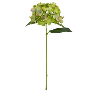 Vara de flor verde de hortensia con pistilos de 54x24x20cm