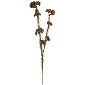 Vara de plastico café de flor de arroz de 57×16.5×6.4cm
