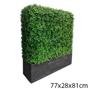 024071525039-galerias el triunfo