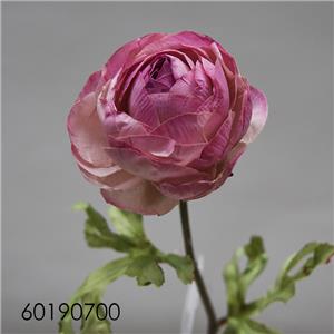 Flor de camelia seca