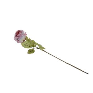 Flores secas de Rose