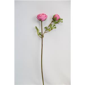 Flor de peonia rosa