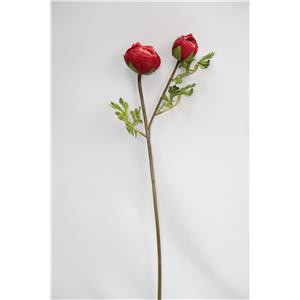 Flor de peonia roja