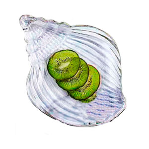 Plato de cristal diseño