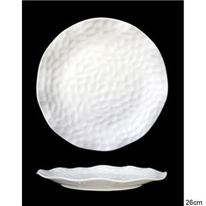 Plato de porcelana blanca