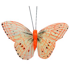 Mariposa naranja con pinza