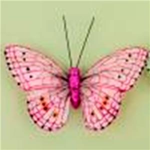 Mariposa purpura con pinza