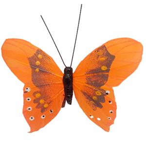 Mariposa naranja con pinza