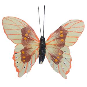 Mariposa naranja con pinza