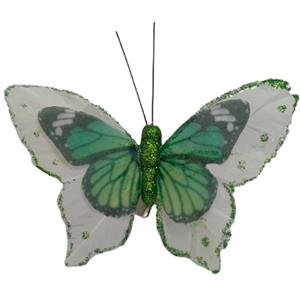 Mariposa verde con blanco