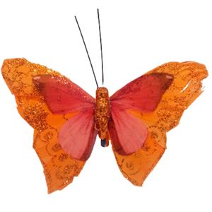Mariposa naranja con pinza