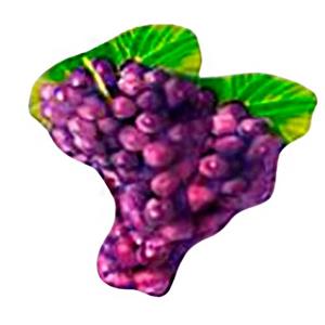 Plato de vidrio diseño