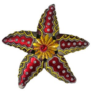 Estrella de mar