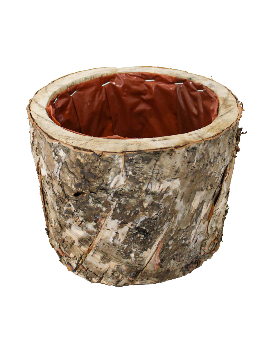 072072603081-galerias el triunfo