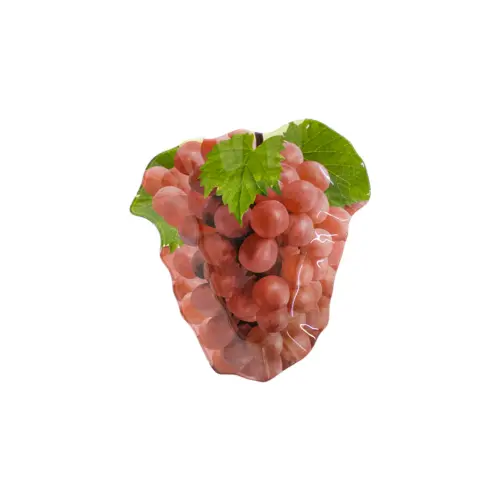 Plato de vidrio diseño