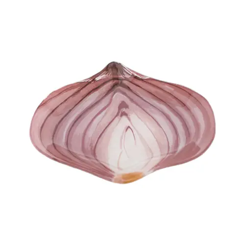 Plato de vidrio diseño